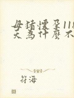 母猪怀孕118天为什么不生