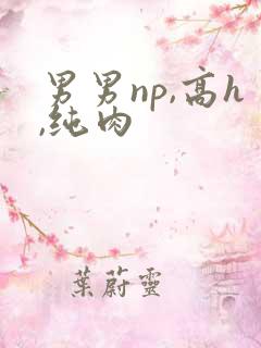 男男np,高h,纯肉