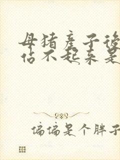 母猪产子后后腿站不起来是啥原因