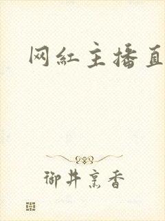 网红主播直播间