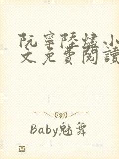 阮宁陆烬小说全文免费阅读