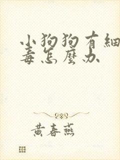 小狗狗有细小病毒怎么办