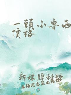 一头小鲁西黄牛价格