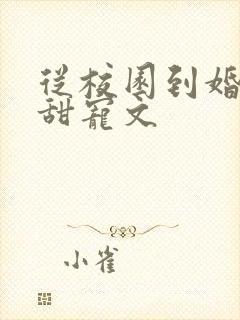 从校园到婚姻的甜宠文