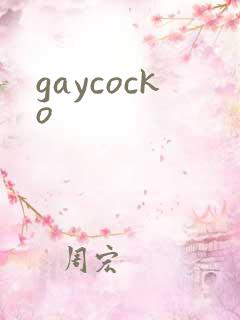gaycocko