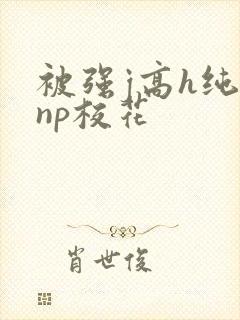 被强j高h纯肉np校花