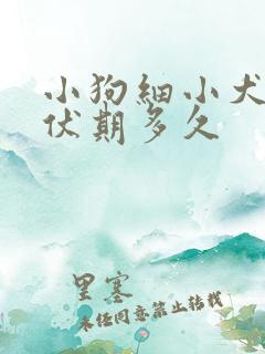 小狗细小犬瘟潜伏期多久