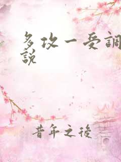 多攻一受调教小说
