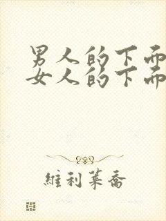 男人的下面插入女人的下面网站