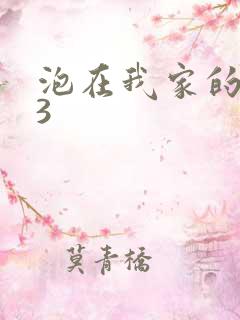 泡在我家的辣妹3