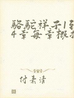 骆驼祥子1到24章每章概括