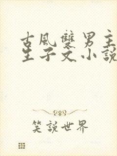 古风双男主超虐生子文小说