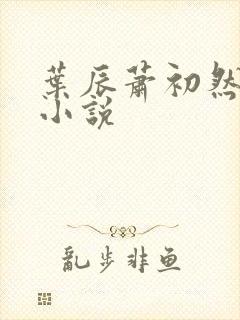 叶辰萧初然叶辰小说