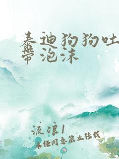 泰迪狗狗吐黄水带泡沫