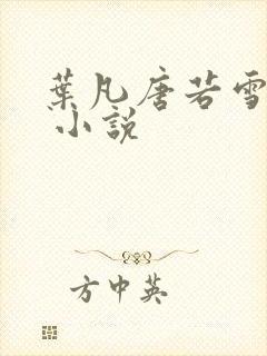 叶凡唐若雪医婿 小说