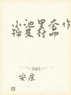 小池里奈作品番号及封面