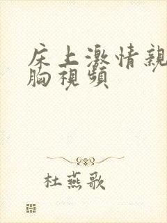 床上激情亲嘴摸胸视频