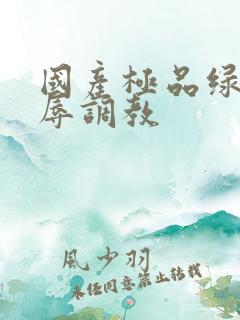 国产极品绿帽羞辱调教