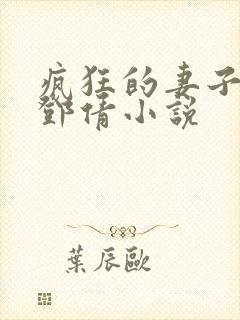 疯狂的妻子林瑶邓倩小说