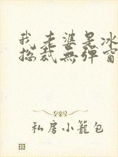 我老婆是冰山女总裁无弹窗