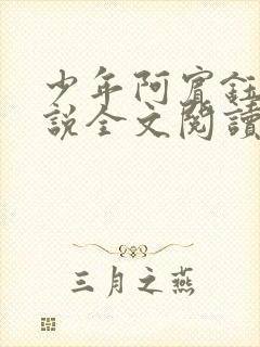 少年阿宾钰慧小说全文阅读