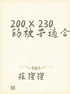 200×230的被子适合多大的床