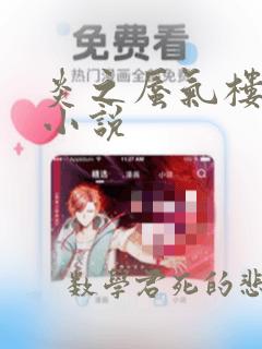 炎之蜃气楼-轻小说：结局+番外