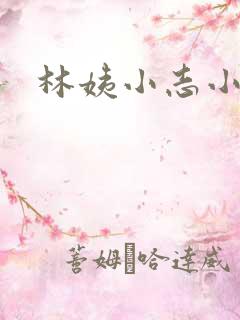 林姨小志小说