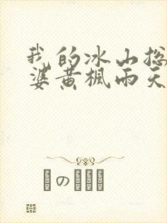 我的冰山总裁老婆黄枫雨天