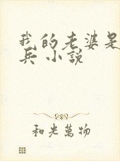 我的老婆是特种兵 小说