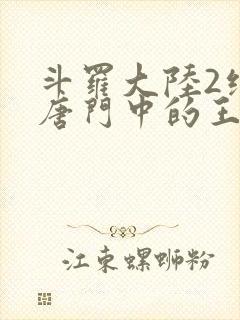 斗罗大陆2绝世唐门中的王冬