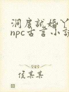 洞房试婚丫鬟的npc古言小说