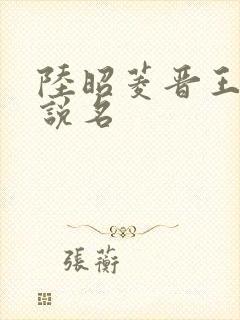 陆昭菱晋王的小说名