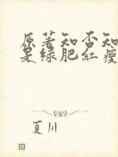 原著知否知否应是绿肥红瘦