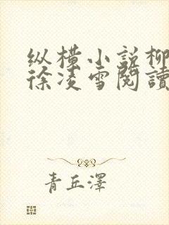 纵横小说柳无邪徐凌雪阅读