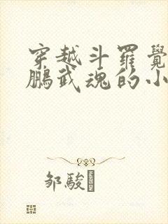 穿越斗罗觉醒鲲鹏武魂的小说