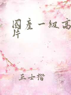 国产一级高清大片