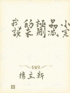 我的极品小姨小说未删减完整版