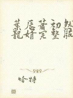 叶辰萧初然上门龙婿完整版