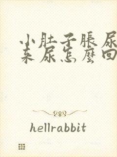 小肚子胀尿不出来尿怎么回事