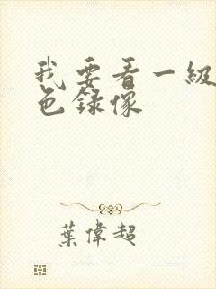 我要看一级片黄色录像