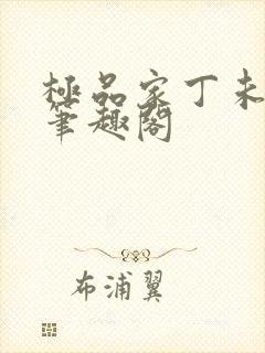 极品家丁未删减笔趣阁