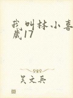 我叫林小喜今年岁17
