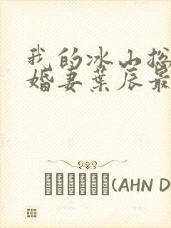 我的冰山总裁未婚妻叶辰最新