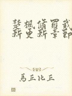 楚枫修罗武神最新更新章节