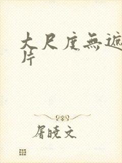 大尺度无遮挡毛片