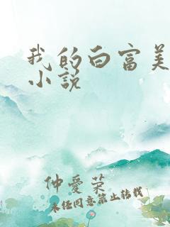 我的白富美老婆小说
