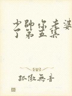 少帅你老婆又跑了第五集