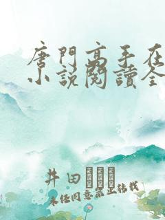 唐门高手在异世小说阅读全文