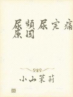 尿频尿完痛什么原因